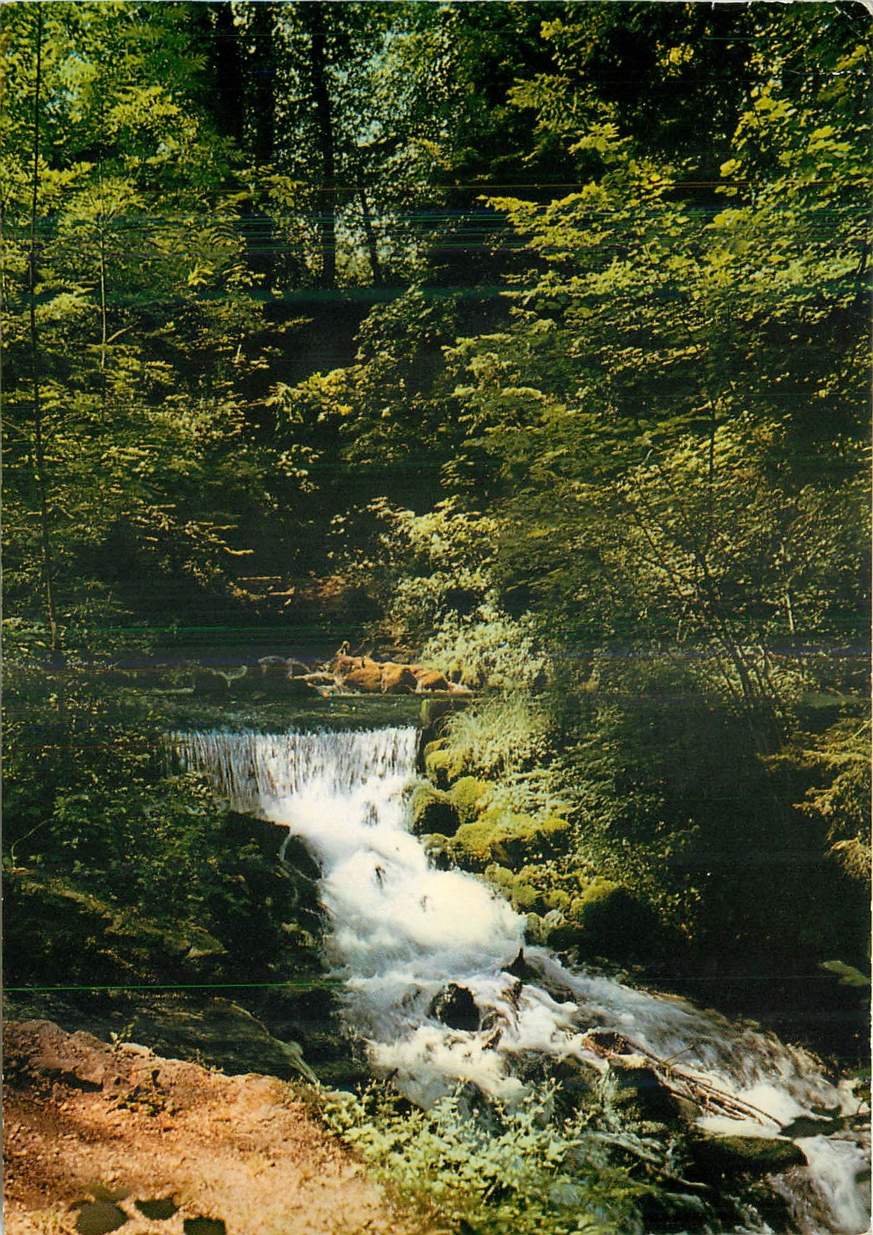 CPM Divonne les bains (ain) La source de la Divonne