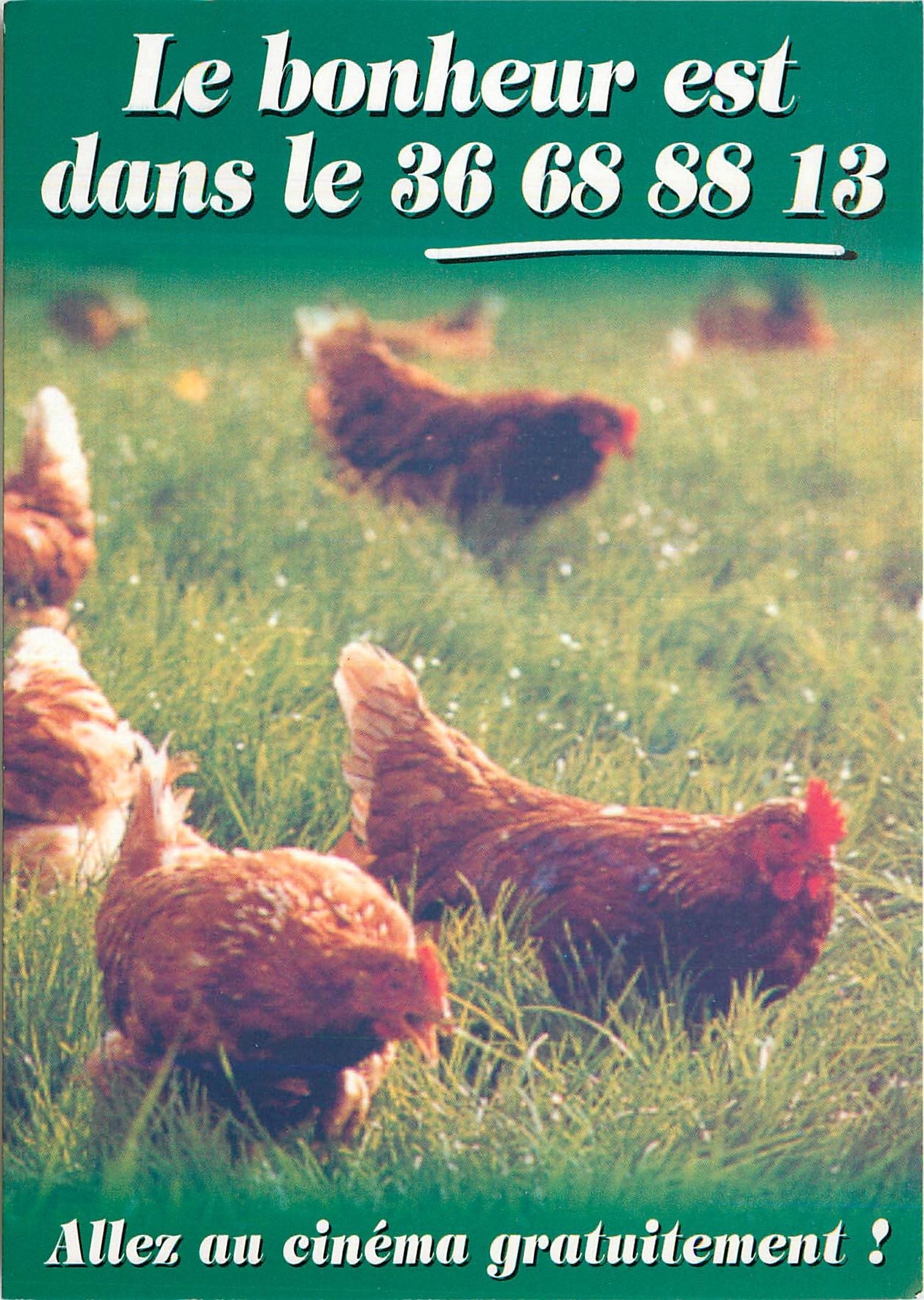 CPM Le Bonheur est dans le… 36 68 88 13 Poules