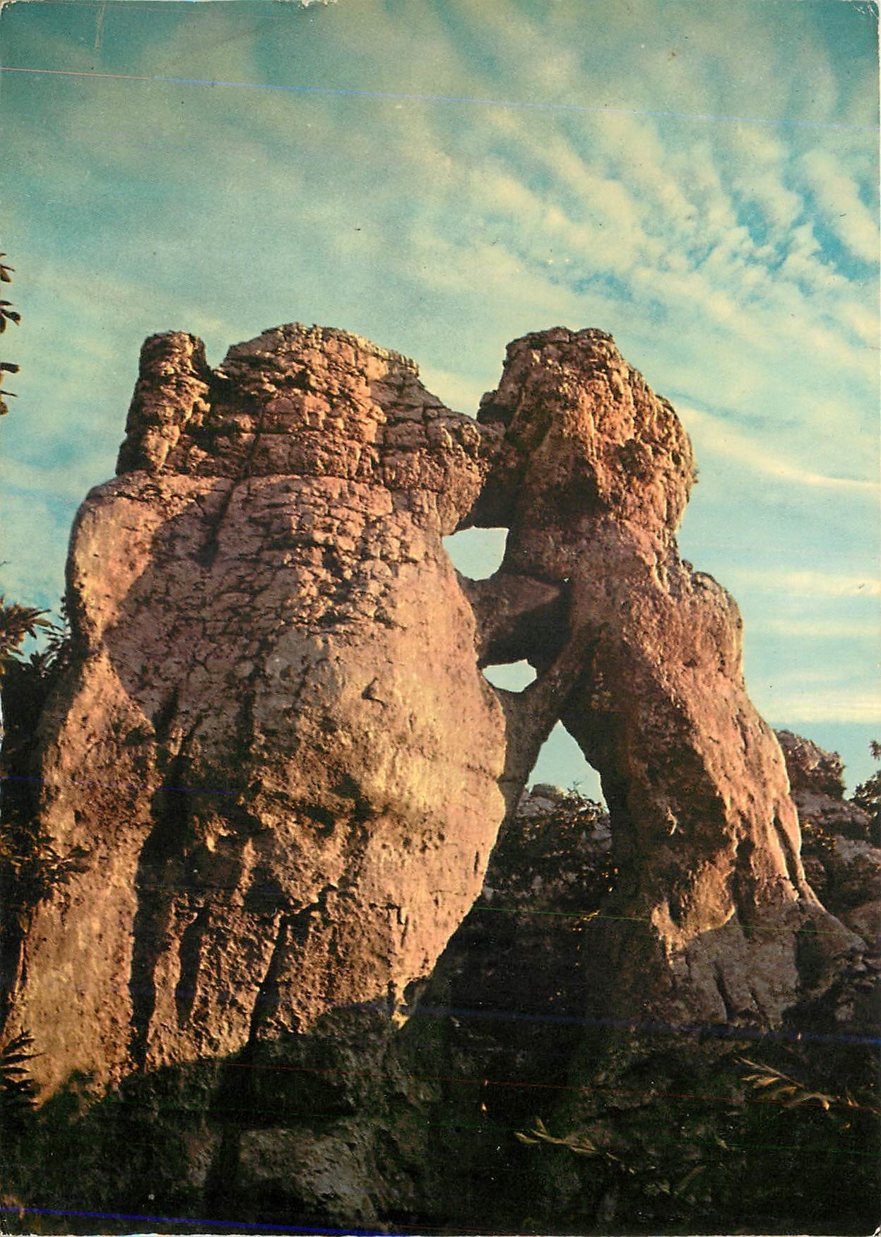 CPM Paysages du vivarais le Bois de palolive l'ours et le lion