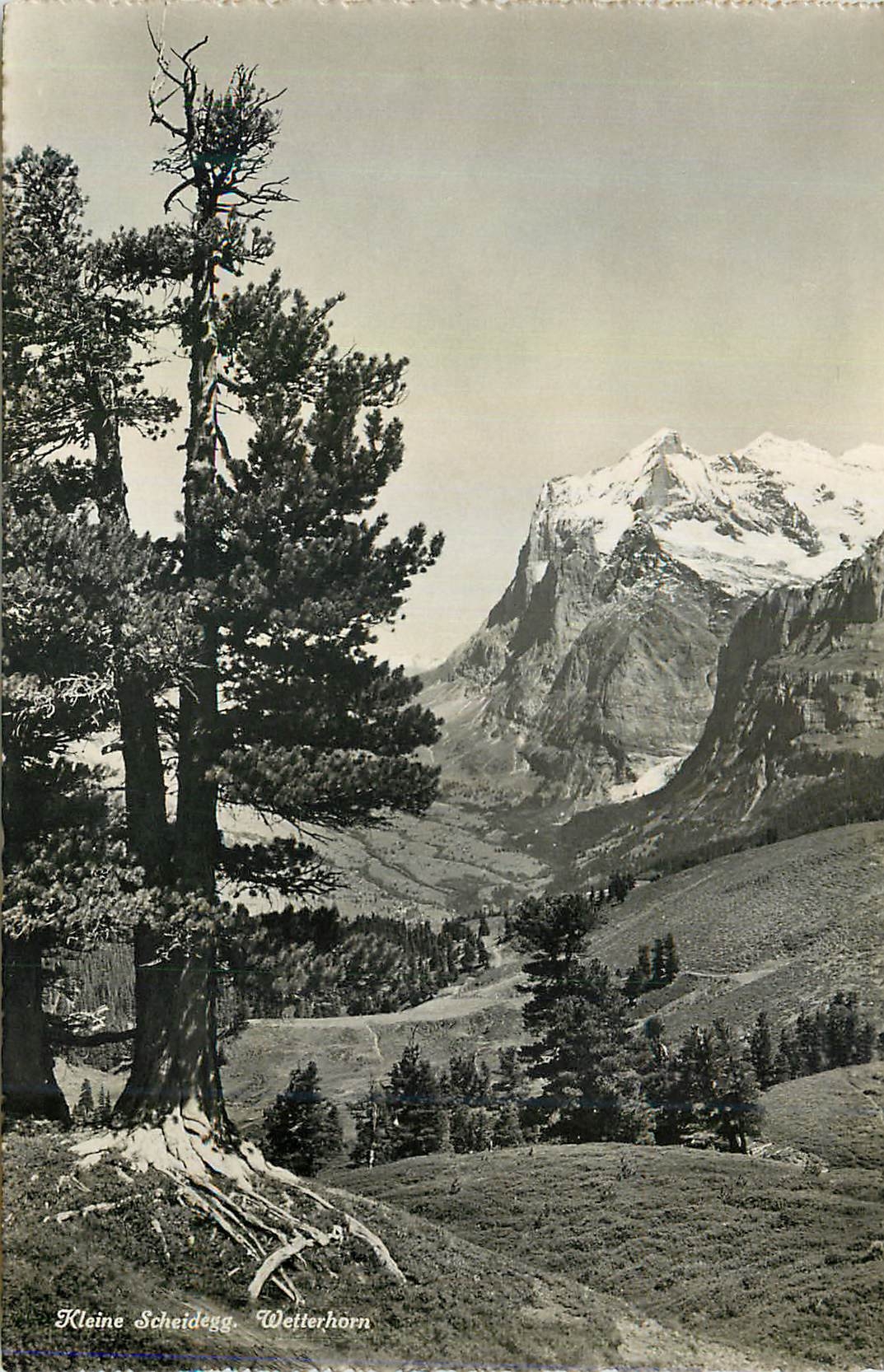 CPM Verlage kleine scheideg