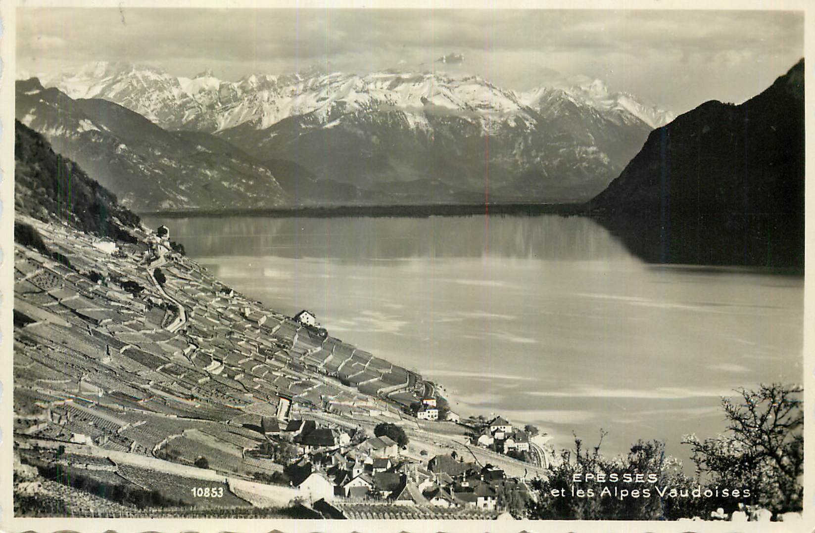 CPM Epesses et les Alpes Vaudoise