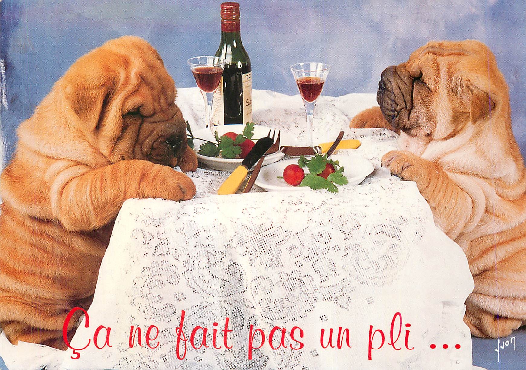CPM Animaux chiens