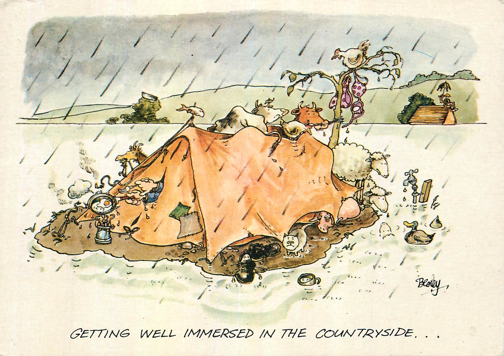 CPM Getting well immersed in the countryside