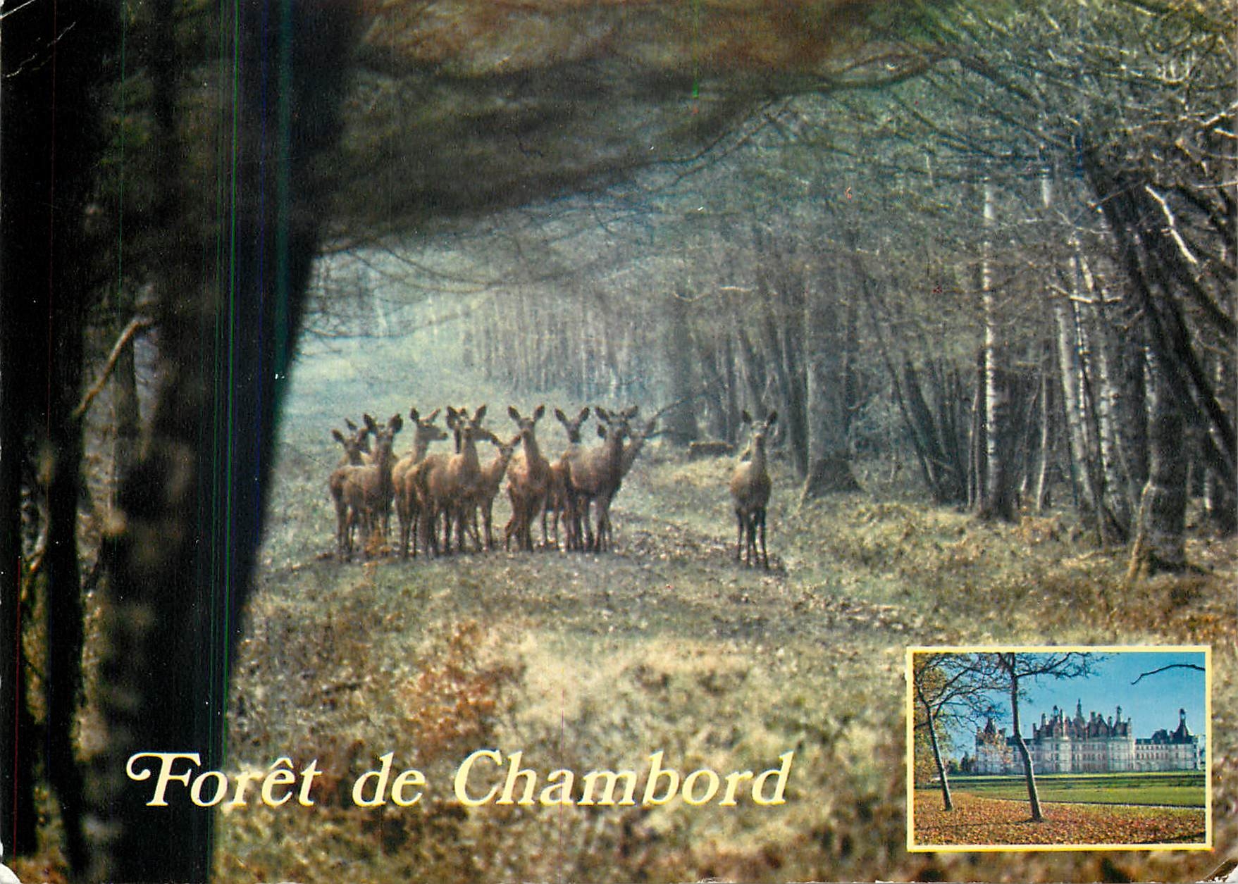 CPM A la limite de la Sologne Chambord 