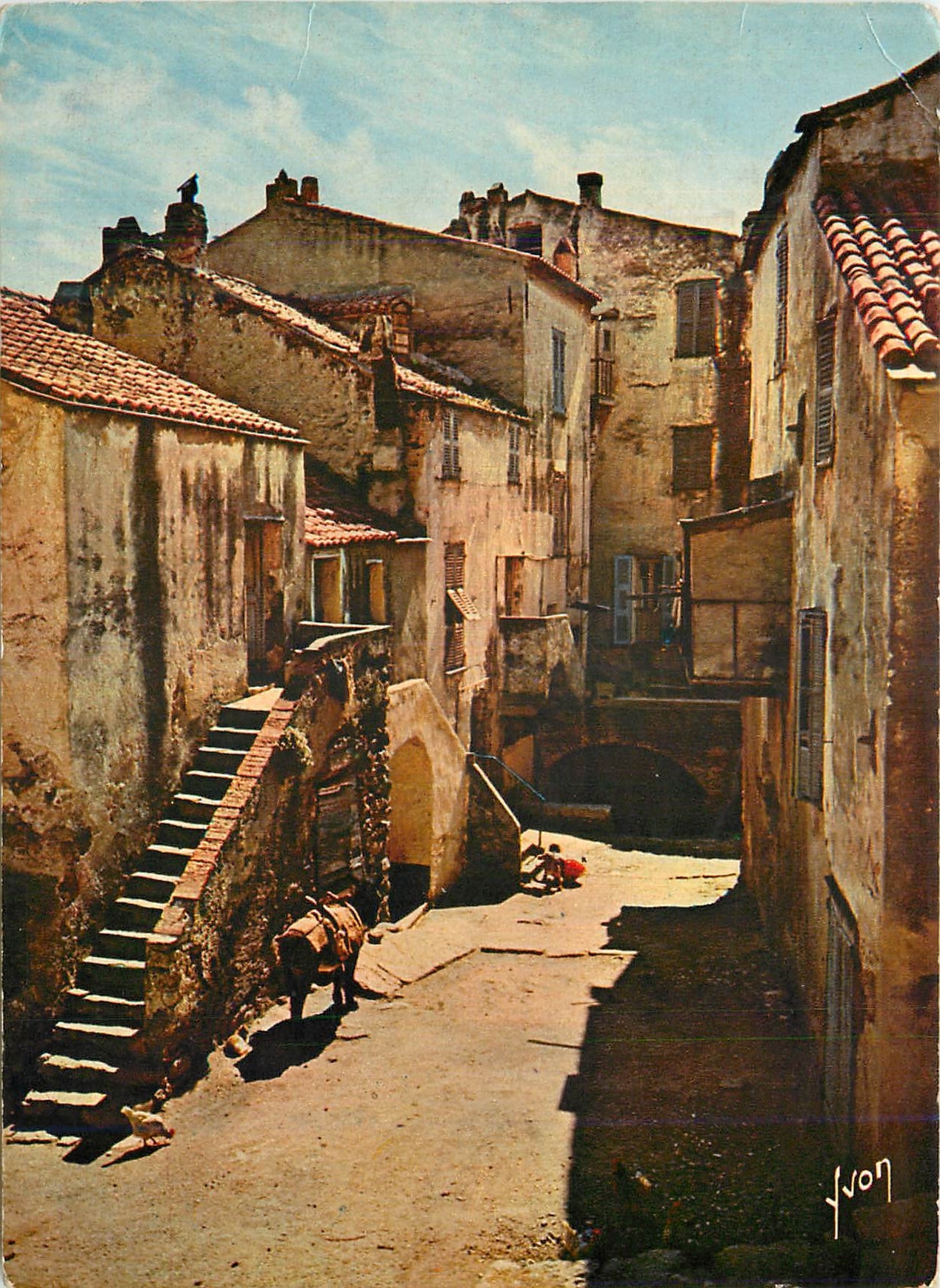 CPM La Corse oasis de Beaute Calvi Vieilles maisons dans la basse ville Ane Donkey