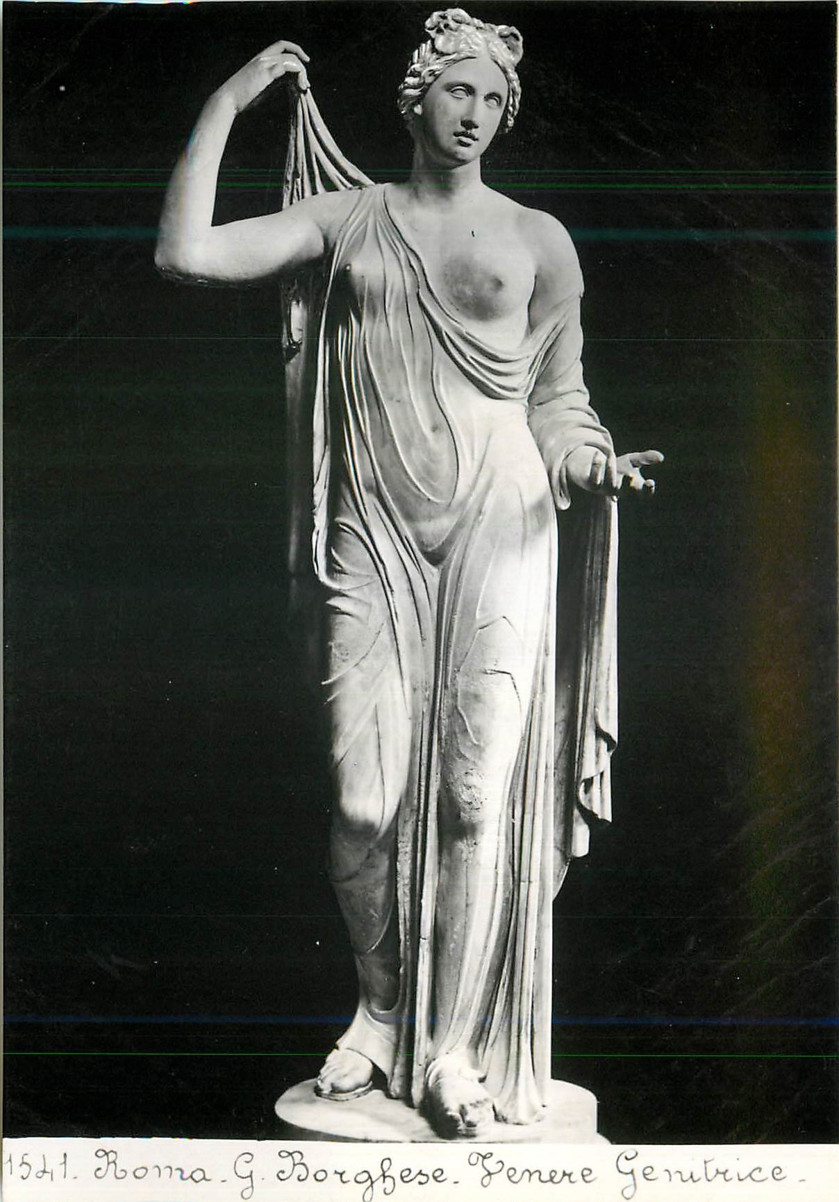 CPM Roma G Borghese Venere Genitrice