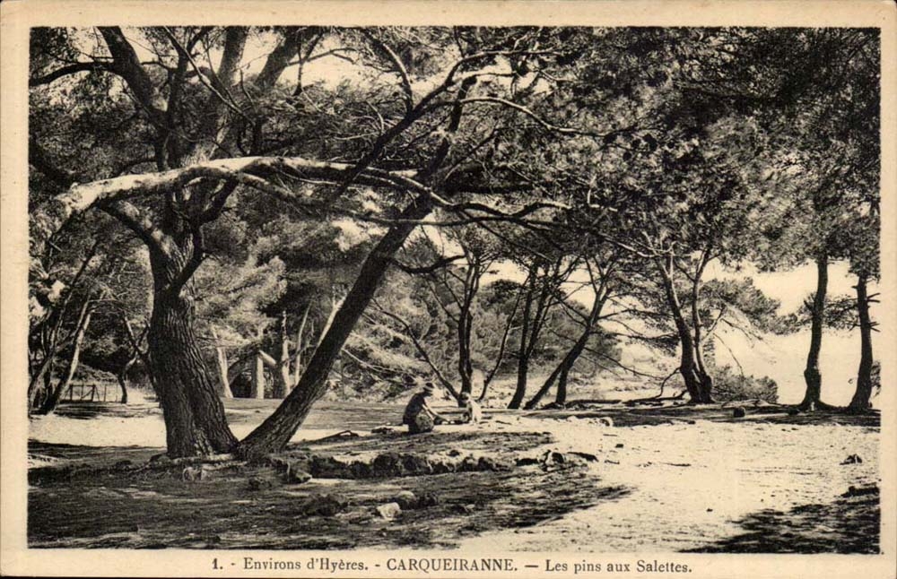 Surroundings of Hyeres CPA Carqueranne pines in SAlettes