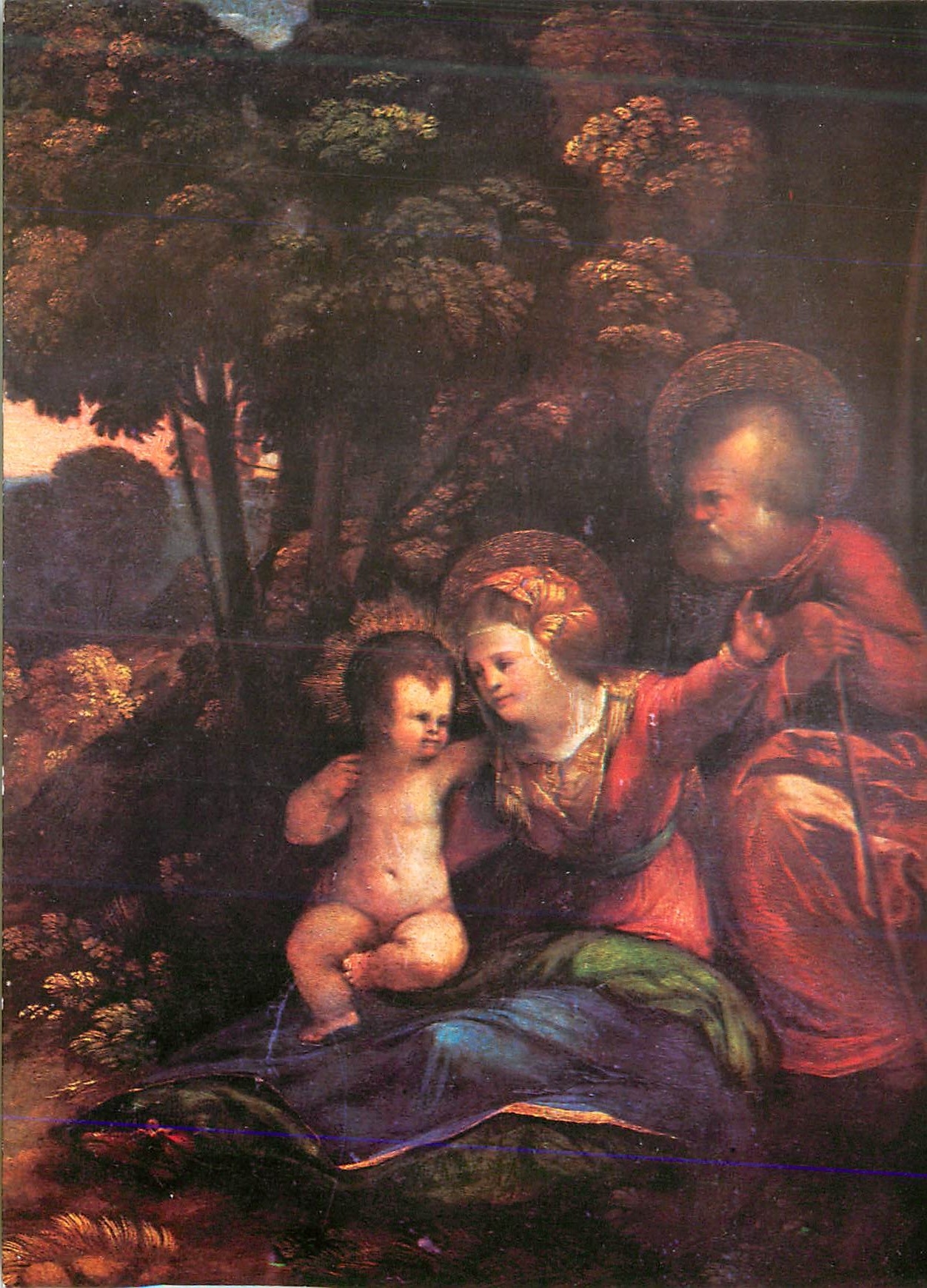 CPM Firenze Galleria Uffizi Dosso Dossi (1489 1542) Repos en Egypte