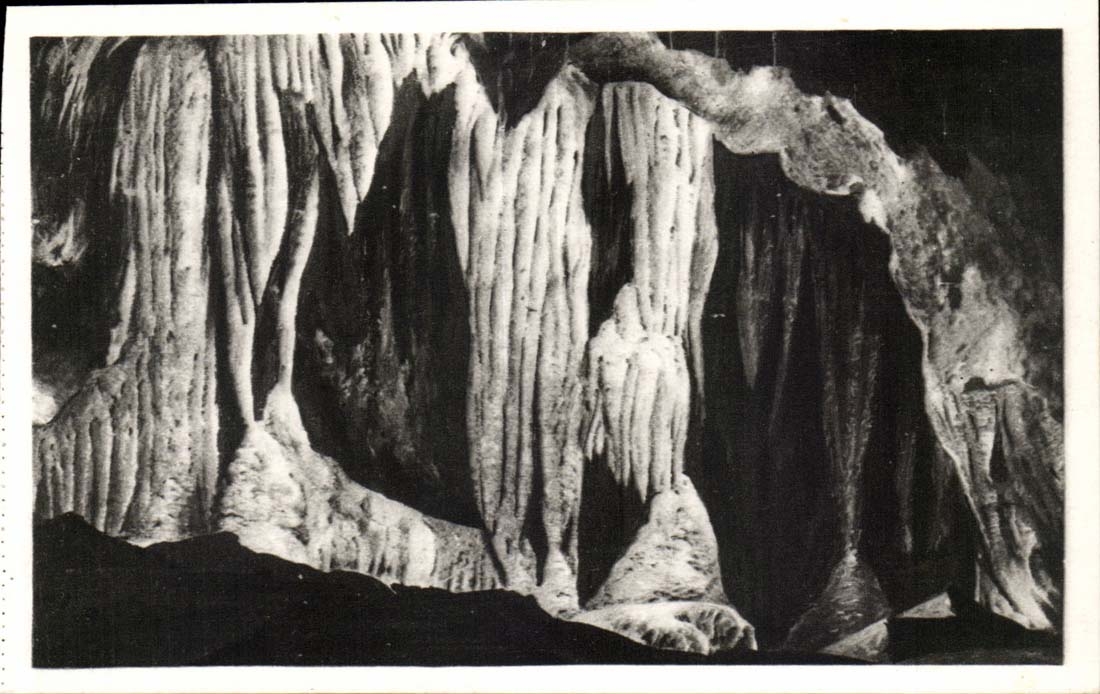 Hohlen Saint Cezaire des nahen fetthaltigen Innenraums CPA der Nische (lesc olonnes)