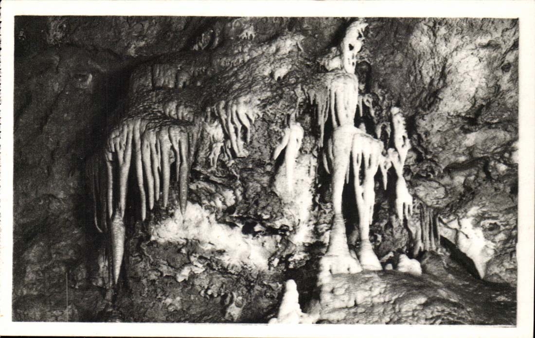 Caves of Saint Cezaire close Fatty CPA organ and the skeleton