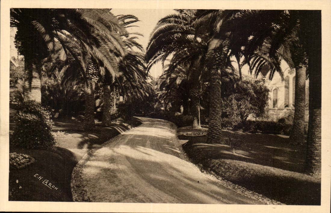 Cannes CPA California Hotel gardens