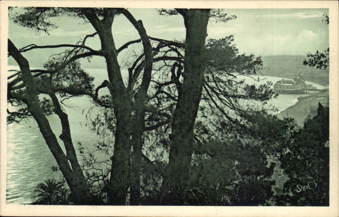 Nice CPA the bay of the angels through the pines of the castle