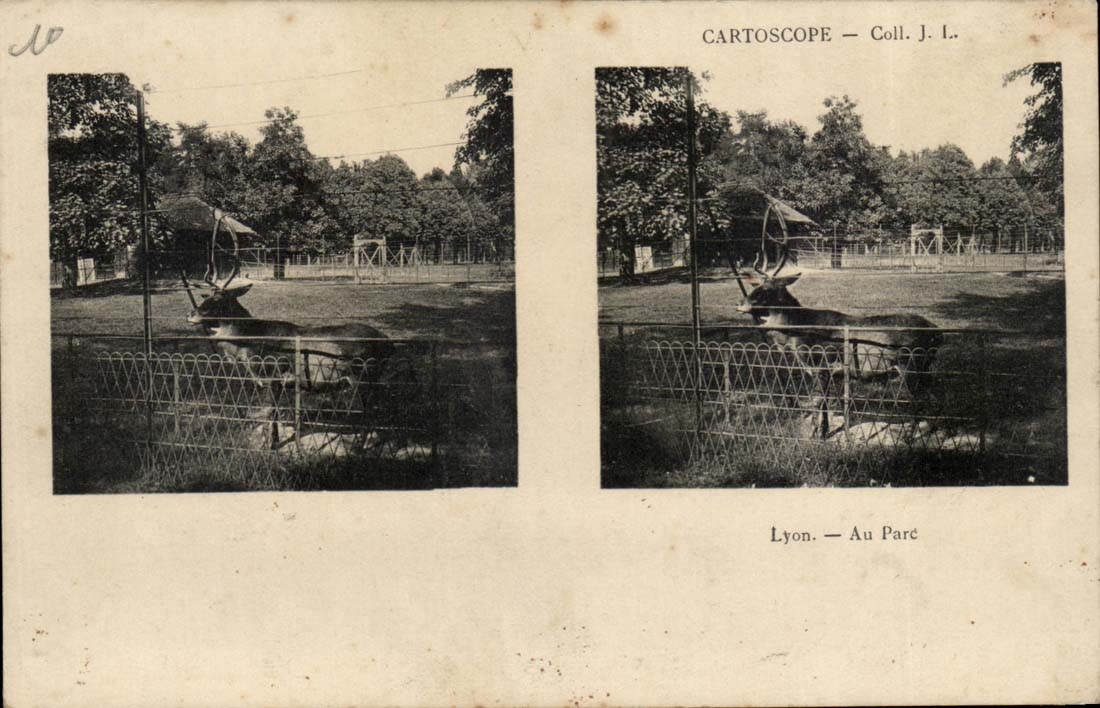 Cartoscope CPA Lyon With the park (stag roe-deer)