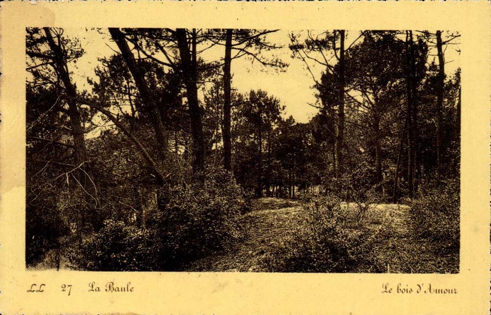 La Baule CPA the wood of love