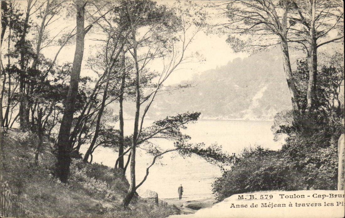 Toulon CPA Brown Cape Handle of Mejean through the pines