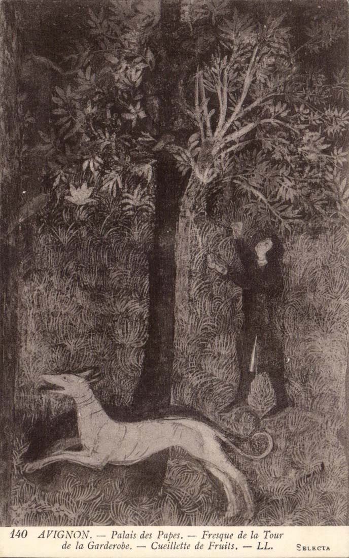 Avignon CPA Palate of the popes Fresco of the Tower of Garderobe Gathering of fruits