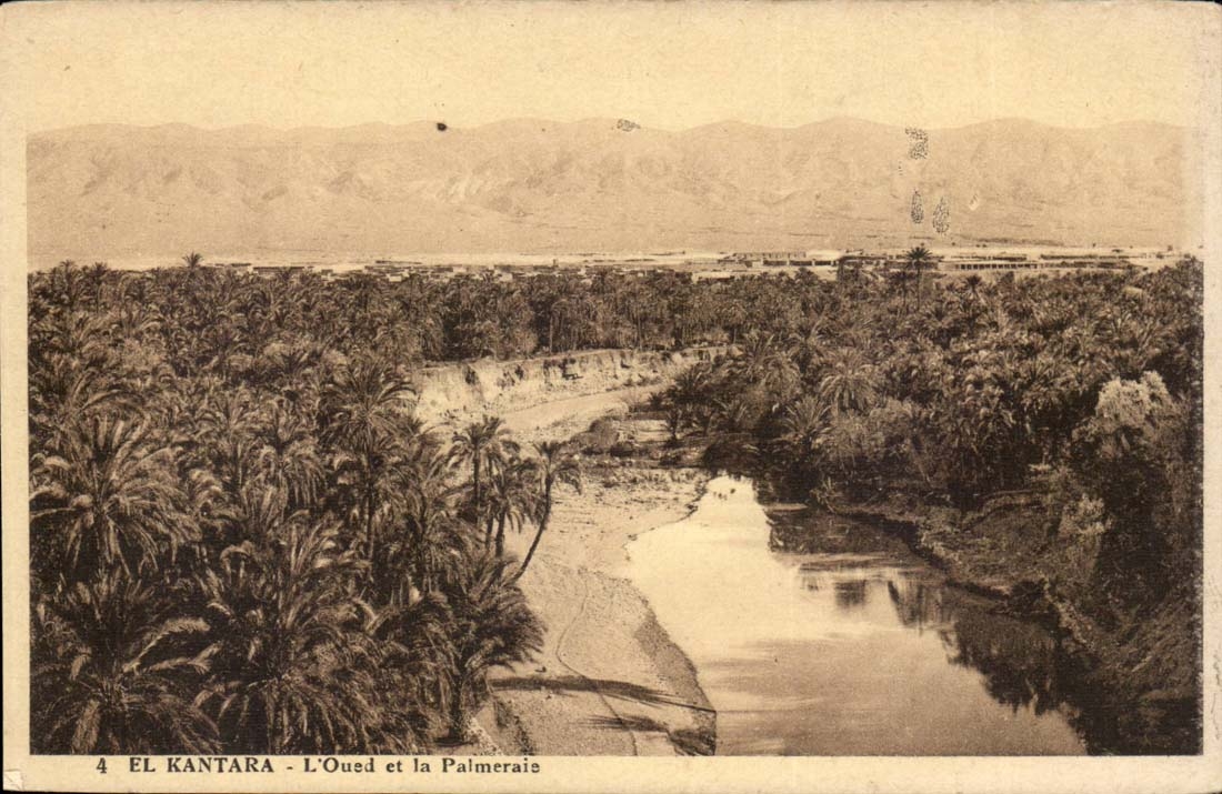 Morocco El Kantara CPA the wadi and palm plantation