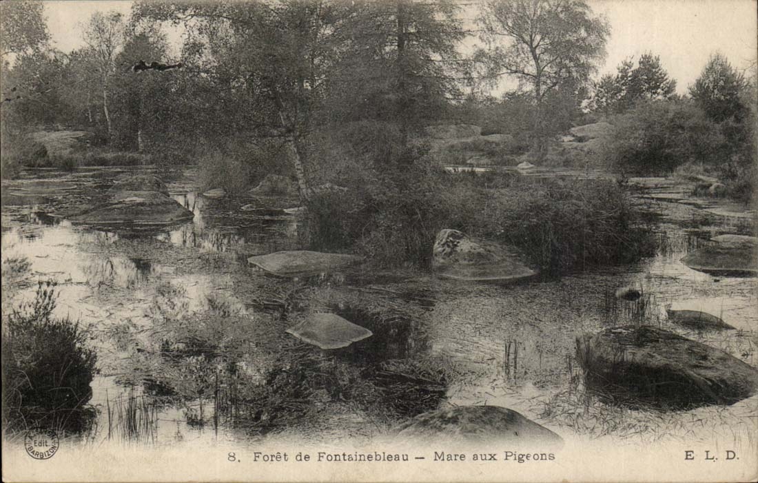 Drill of Fontainebleau CPA Pond to the pigeons