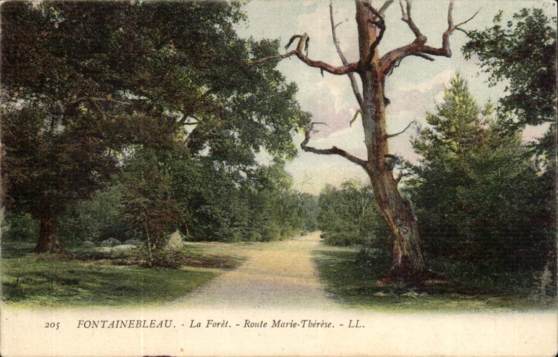 Fontainebleau CPA the drill Road Marie Therese