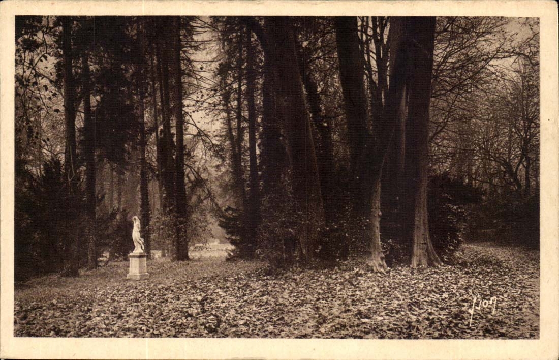 Fontainebleau CPA Allee of the Plane trees