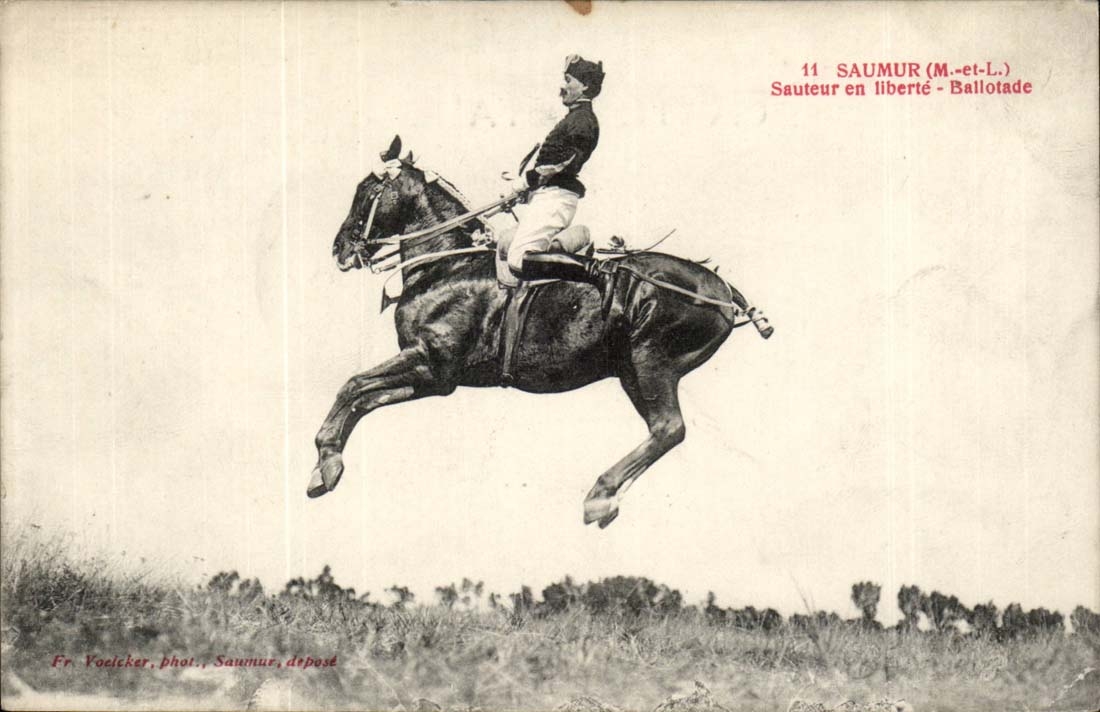 Jumping Saumur CPA in freedom Ballotade (horse)