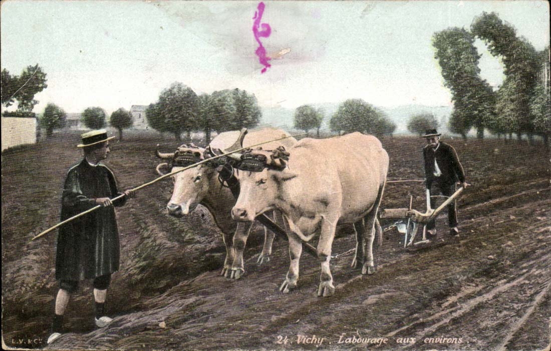 Vichy CPA Tilling with the surroundings