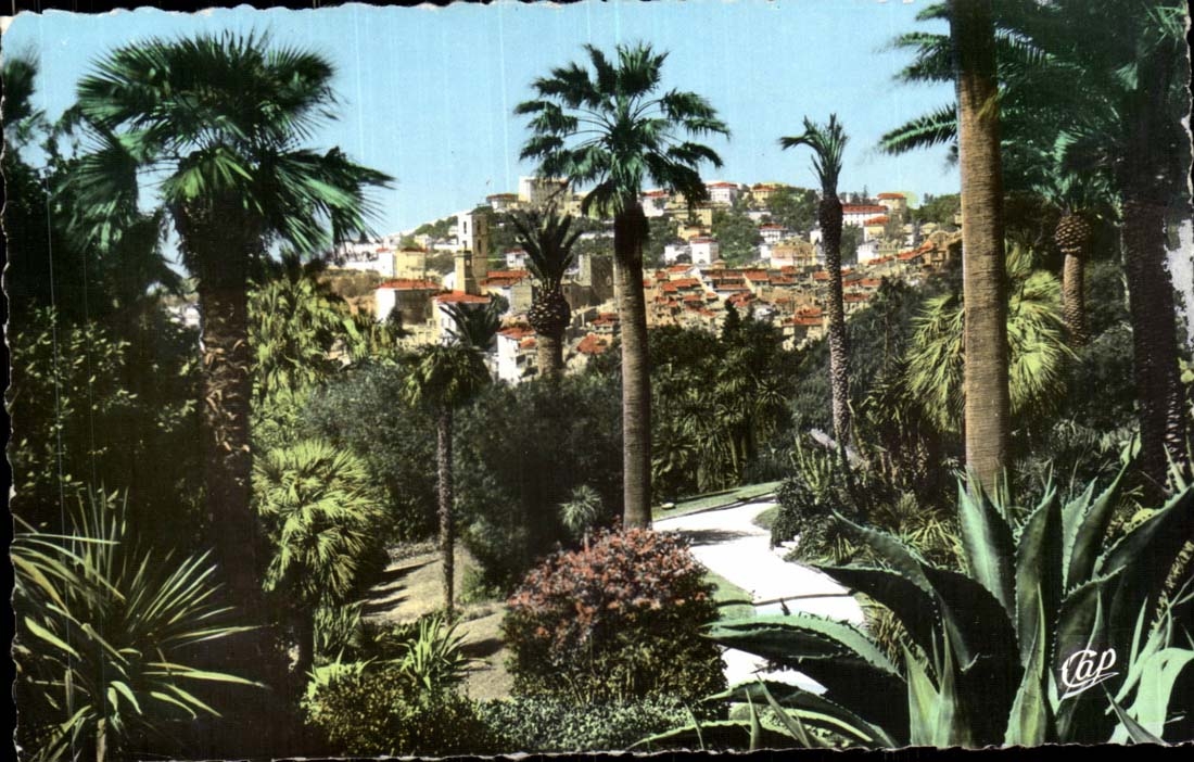 Fatty CPA Seen from of the park de luxe hotel