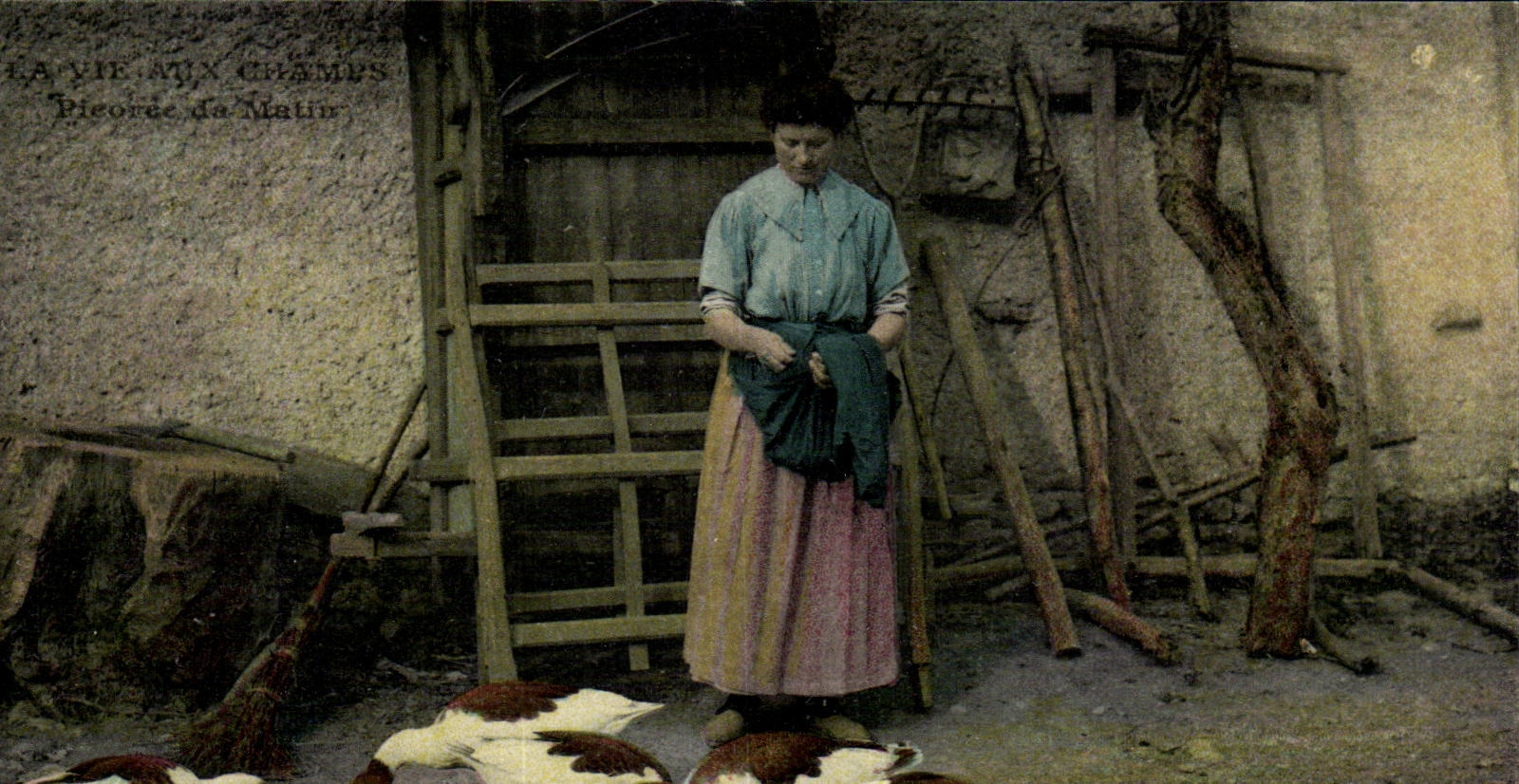 Folklore - Trade - Agriculture - Country life - Duck Goose CPA