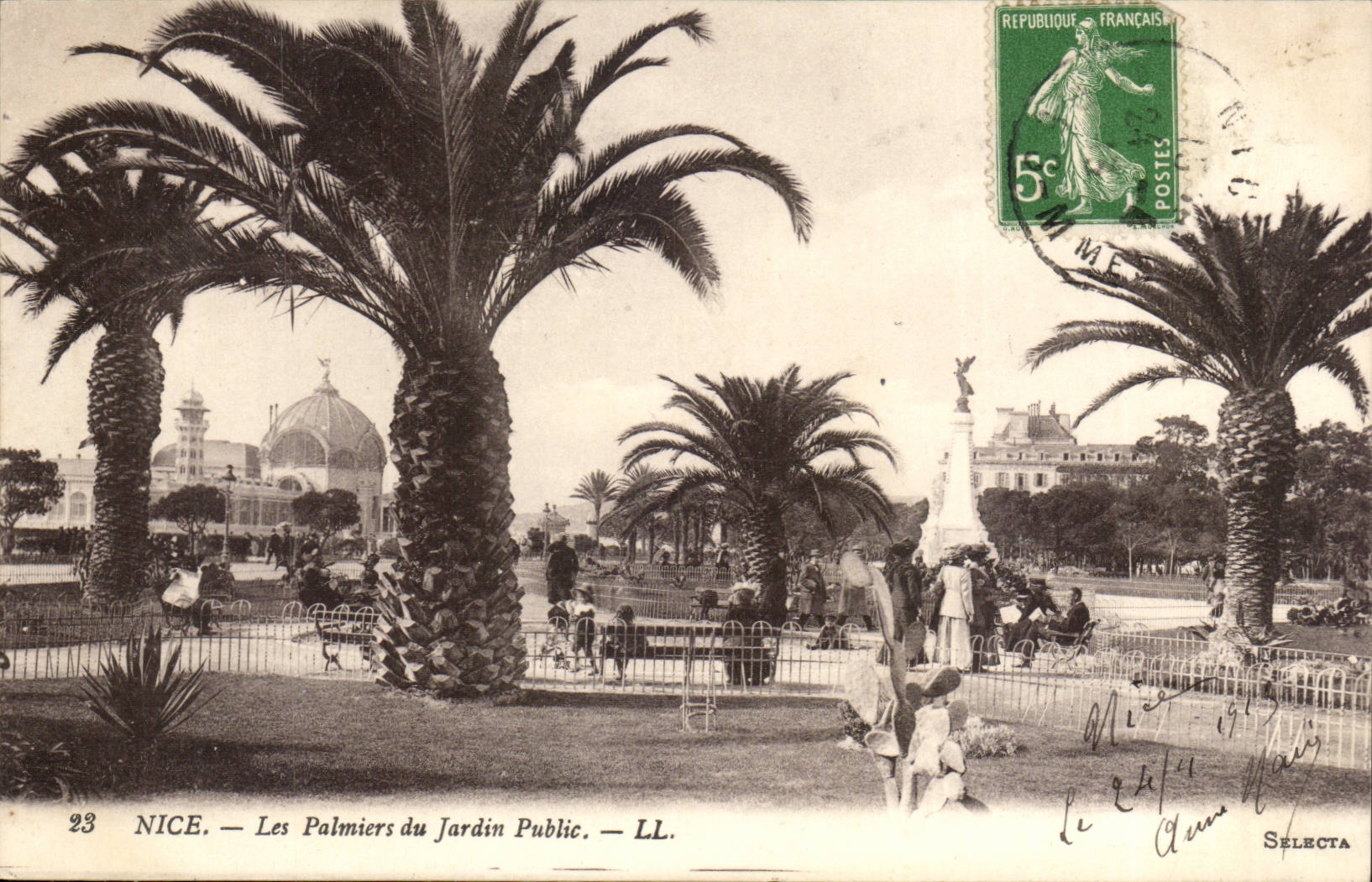 Nice CPA palm trees of the public garden (palm trees)