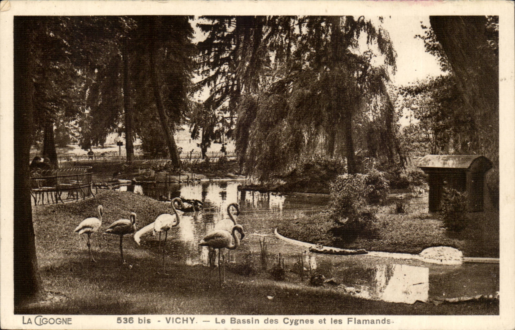 Vichy CPA Basin of the swans and the Flemings