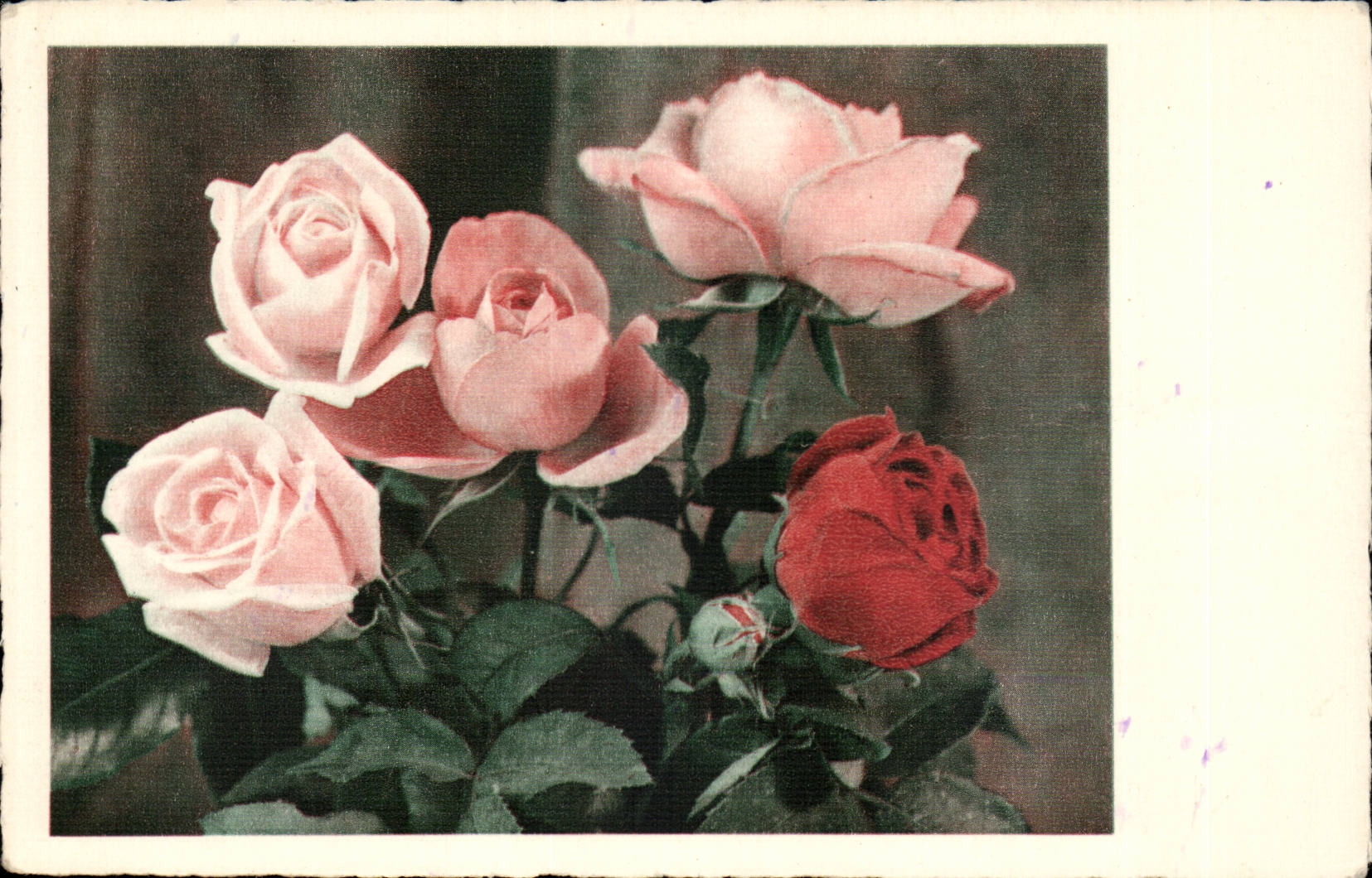 CPA Fantasy Flowers Roses