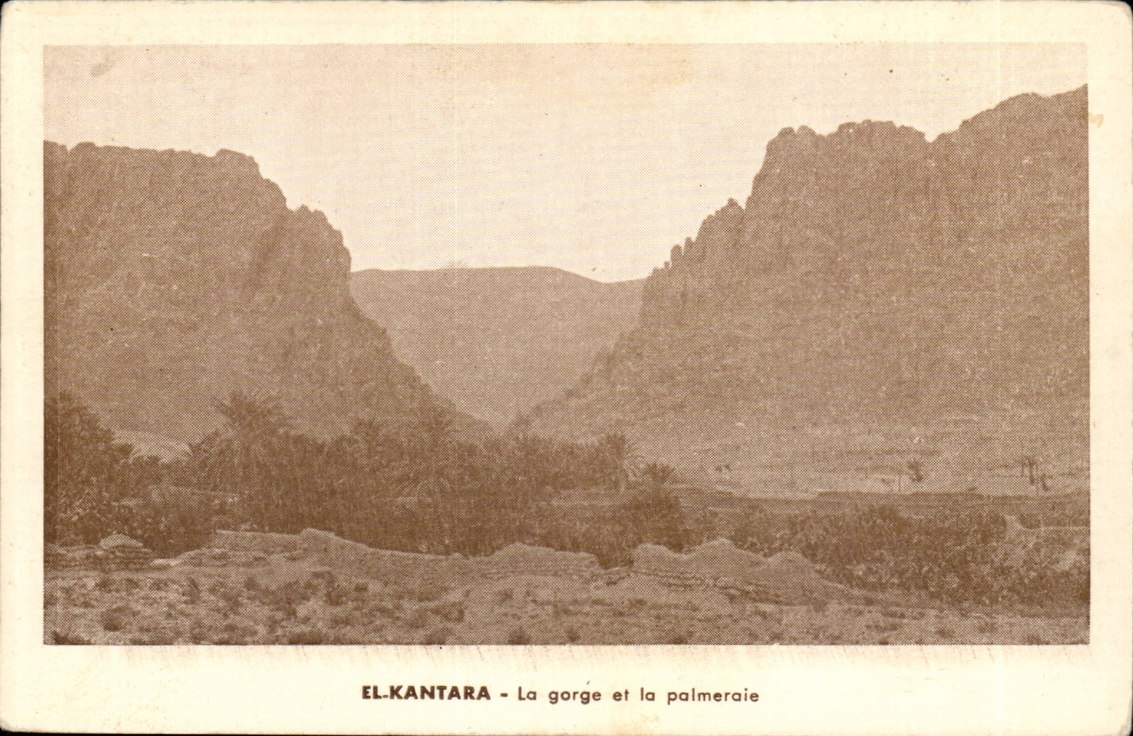 Morocco Morocco El Kantara CPA the throat and palm plantation