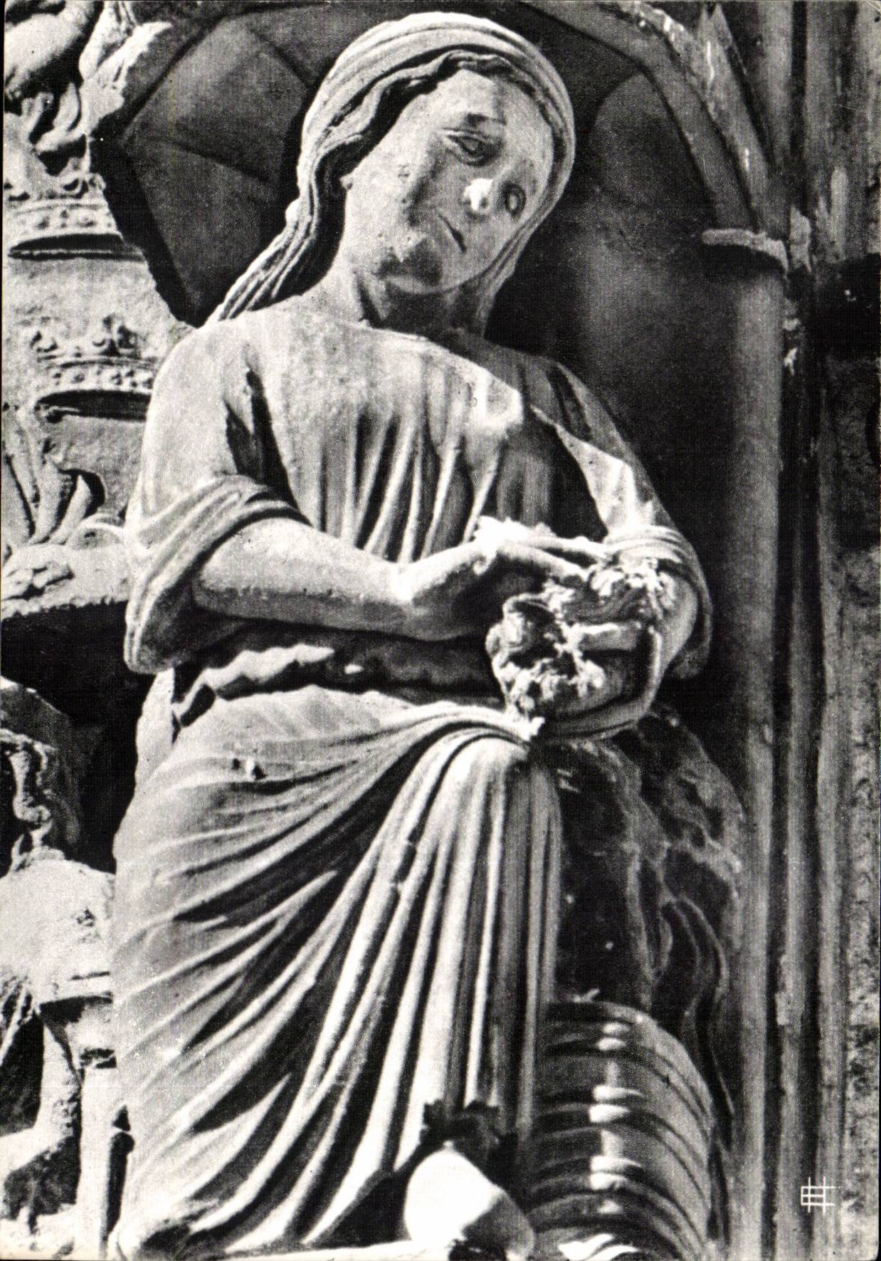 Northern Chartres CPA Gate Working life (it washes its wool)