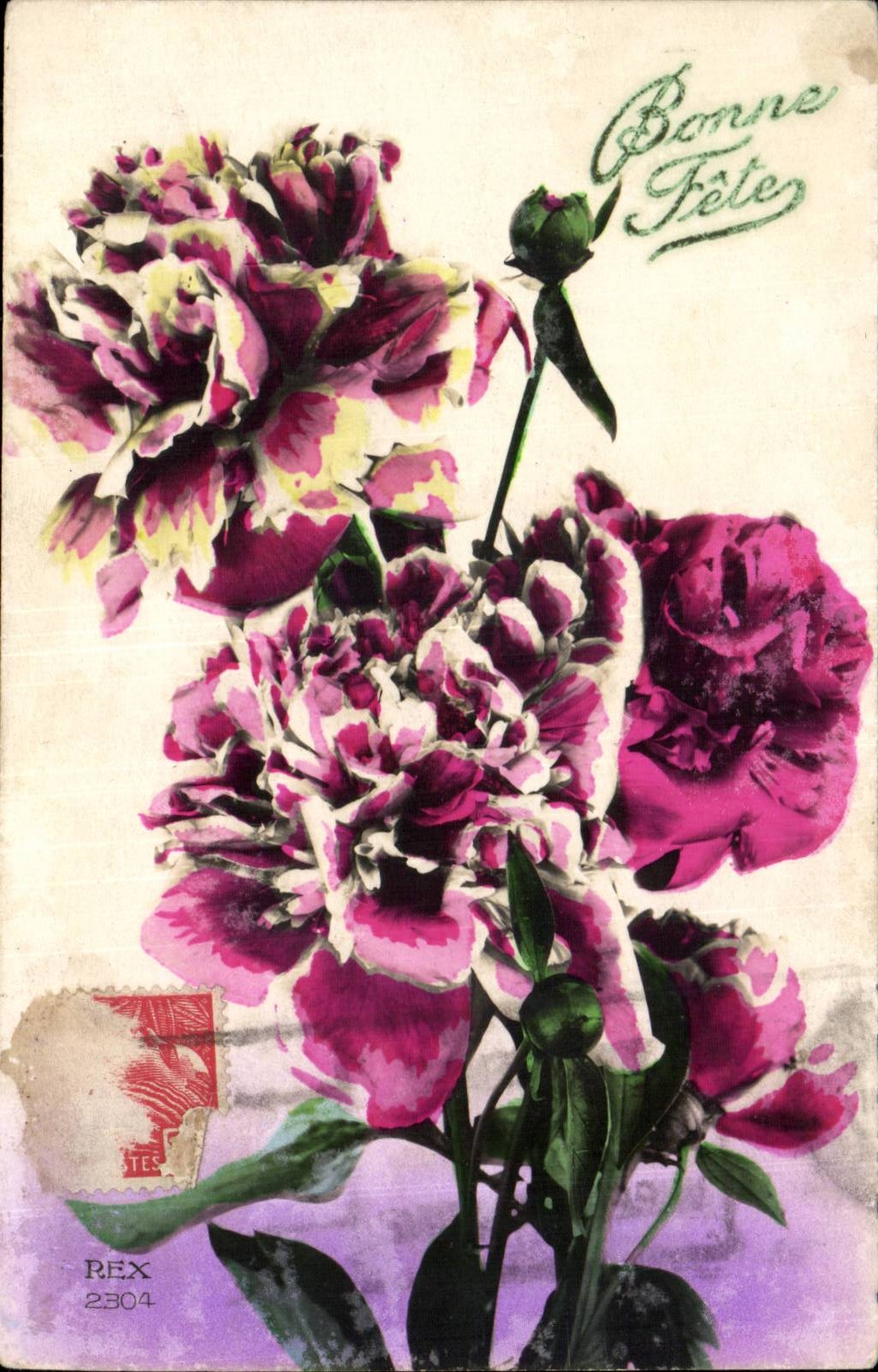 Die gute CPA Phantasie-Blume feiert