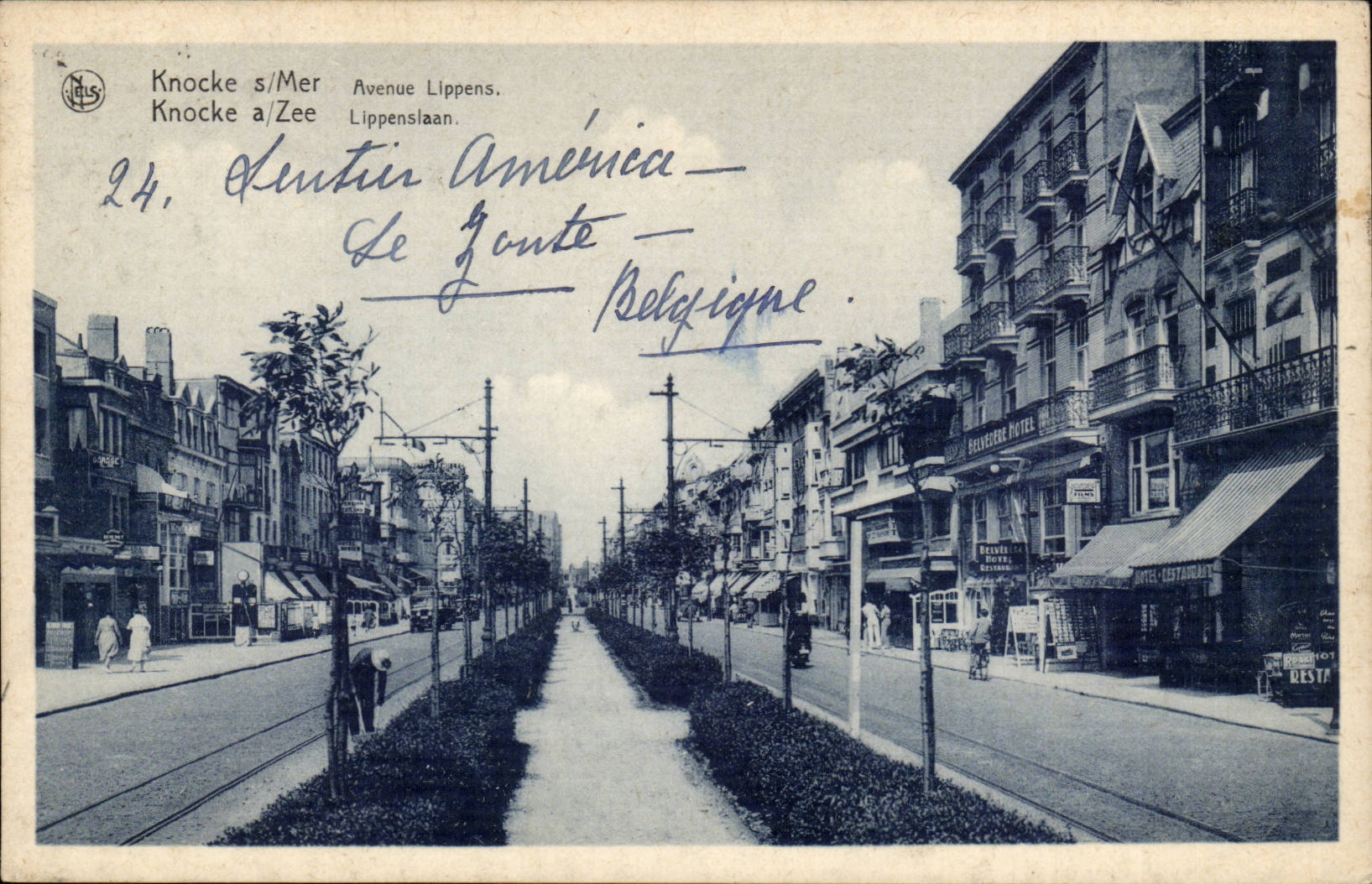Belgique Belgie CPA Knocke sur mer Avenue Lippens