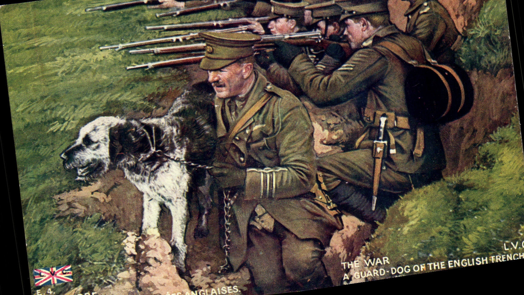 Belgie Belgium Chien keeps English trenches has guard dog one the English distinct (miitaria)