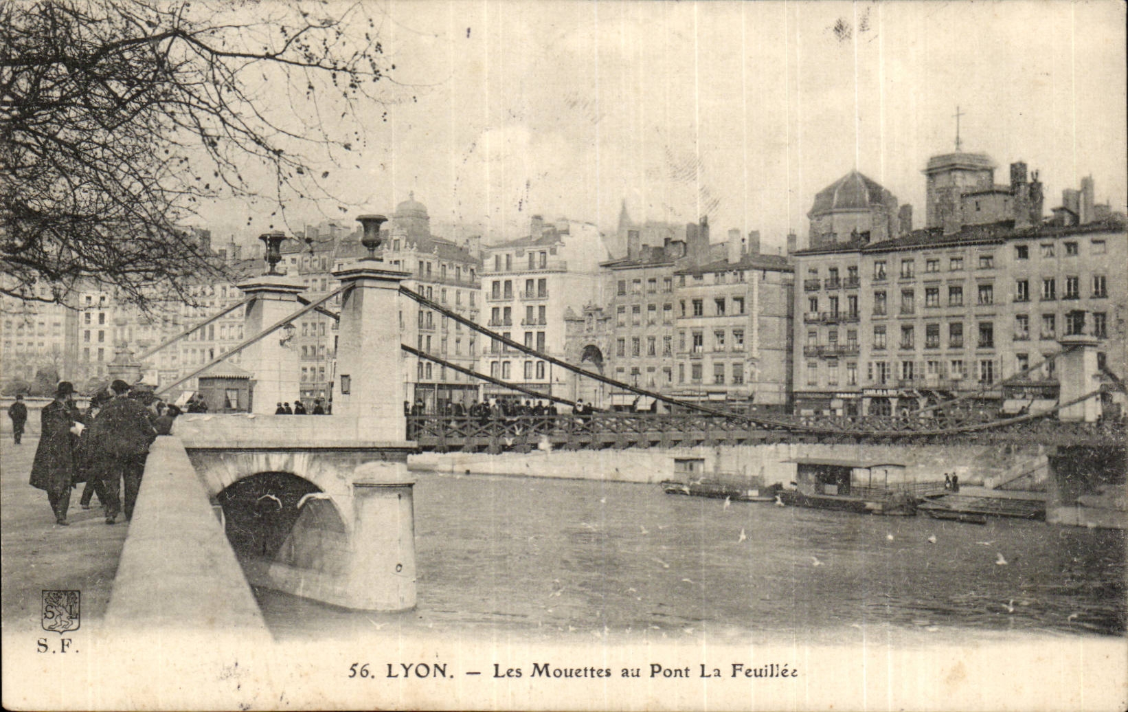 Lyon CPA gulls with the bridge FEuillee