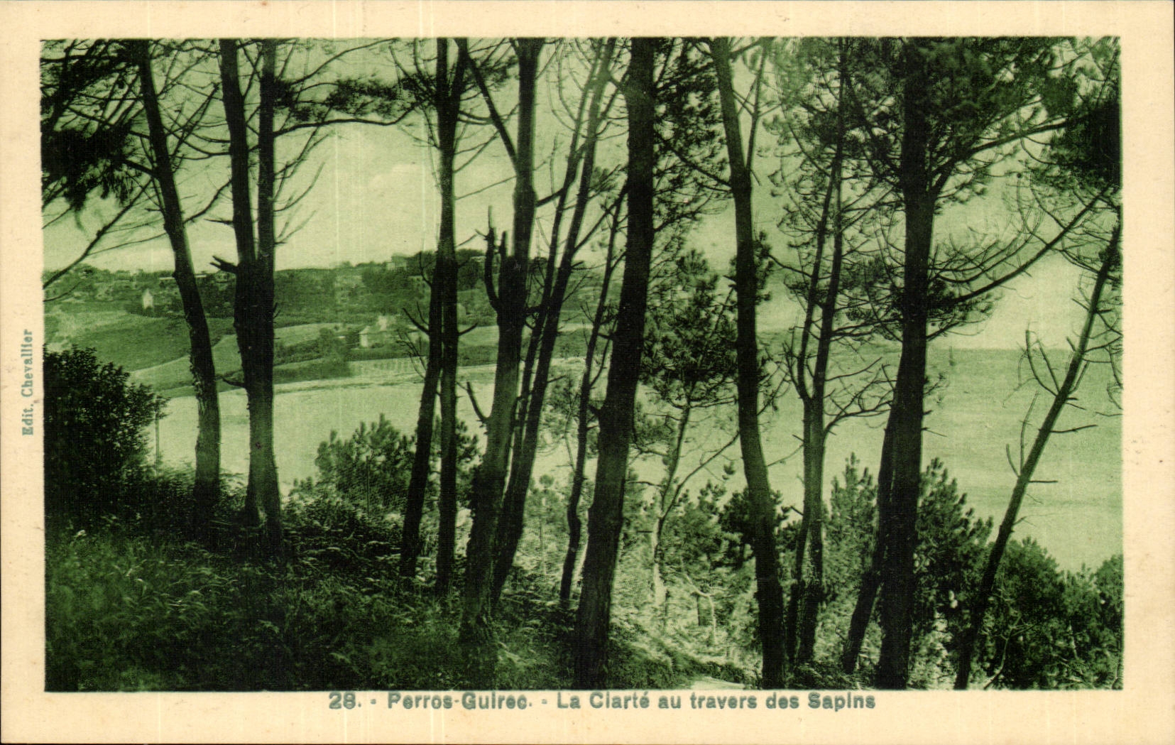 Perros Guirec CPA clearness through the fir trees