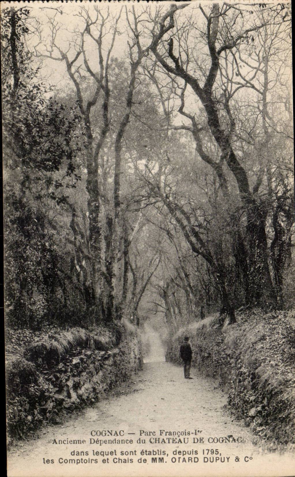 Cognac CPA François Park 1st old dependence of the Cognac Counters castle and wine storehouses of MISTERS Otard Dupuy