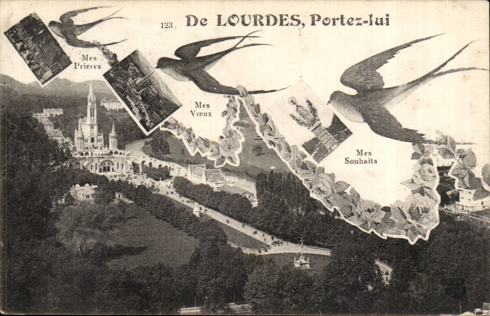 CPA Of doors Carry him (swallow)