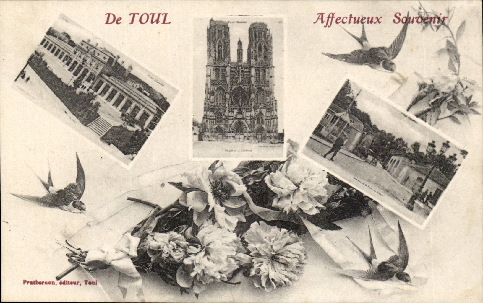 CPA De Affectionate Toul memory (swallow)