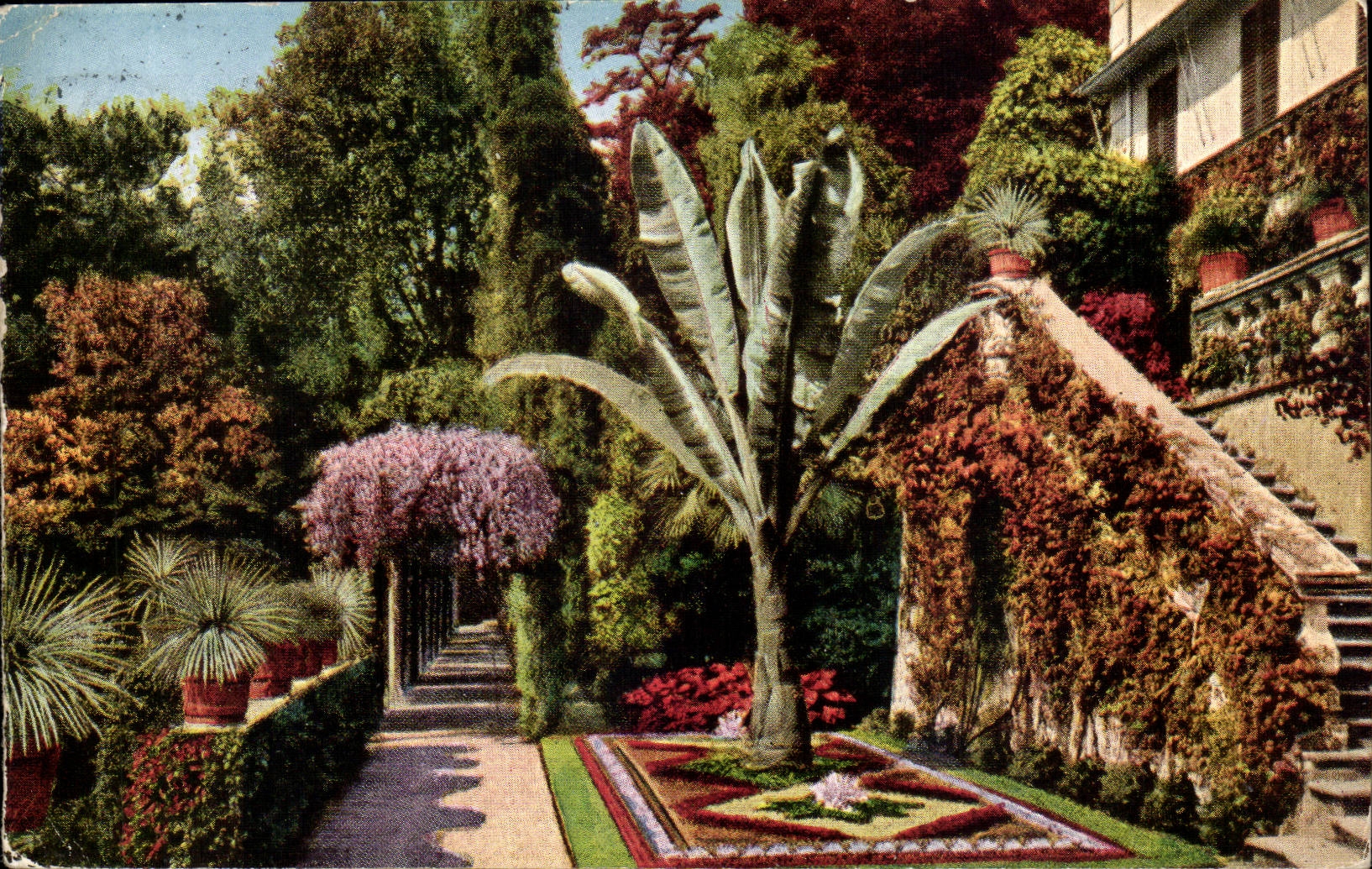 Italy - Italia - Cadenabbia - Giardino beyond Villa Carlotta CPA