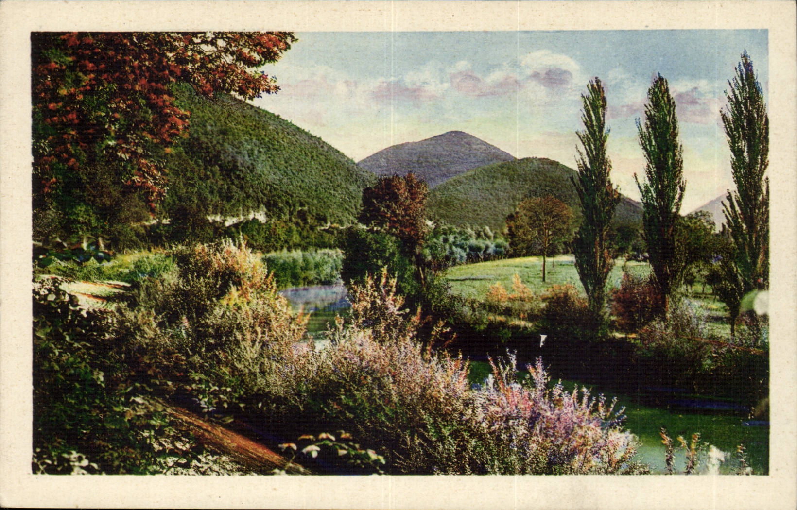 Italy - Italy - Trees - the Partner - CPA