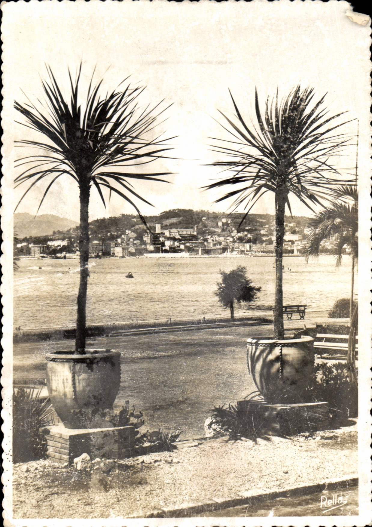 CPA Cannes Suquet seen of the park Albert 1st