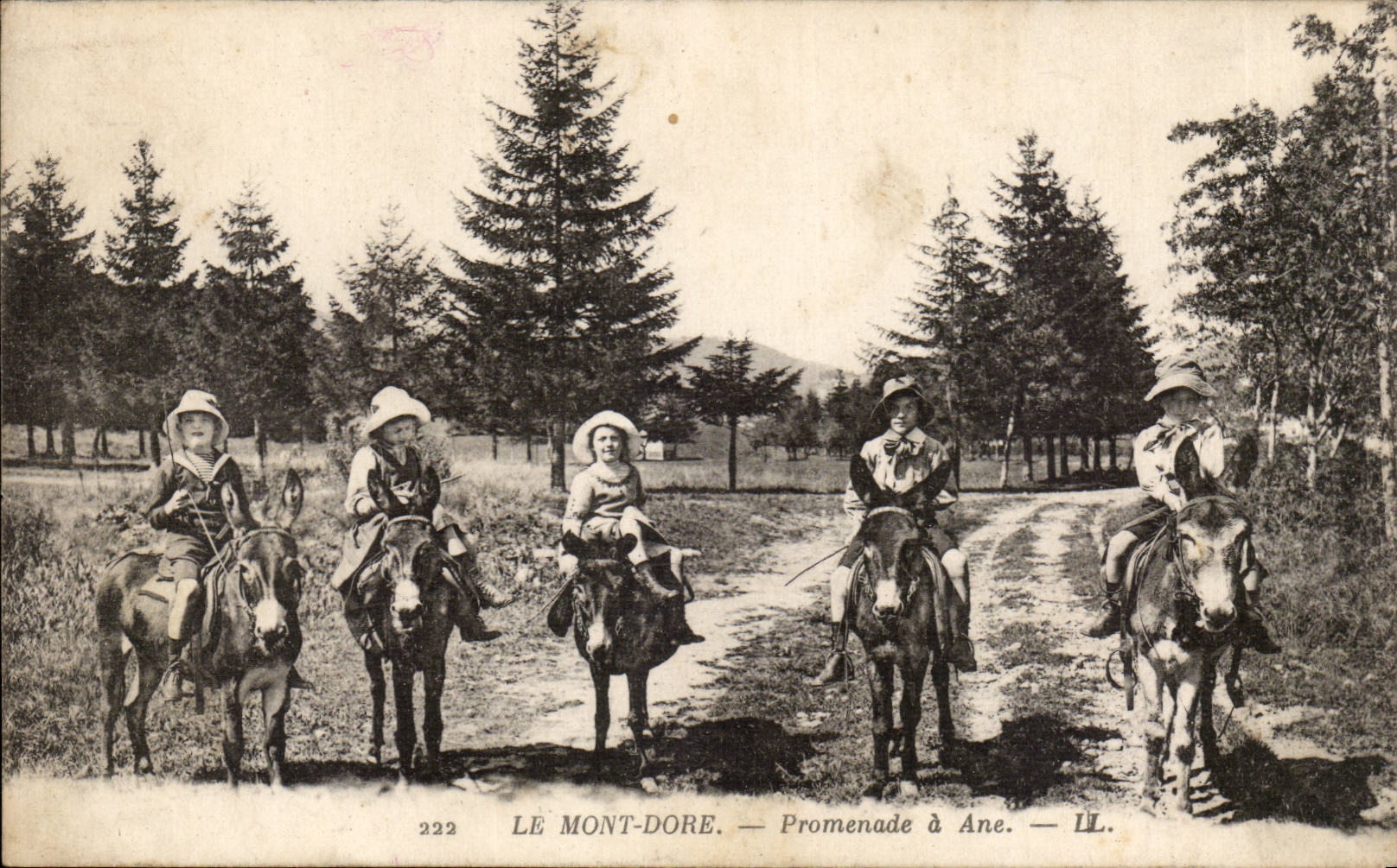 Puy de Dome- the Mount Gilds Walk has Donkey Ass-CPA