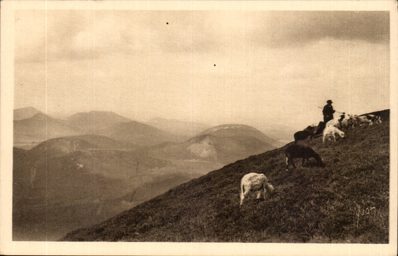 Puy der Haube-Clermont-Ferrand weiches Frankreich mit den Oberseiteschafen-CPA