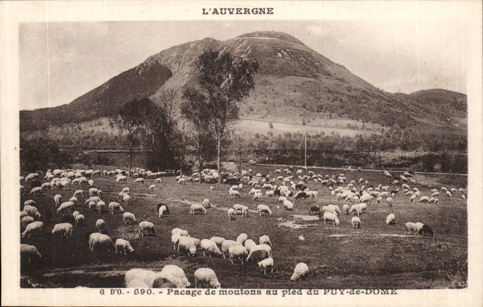 Puy de Dome- Passage of sheep to the foot of Puy of Dome-CPA