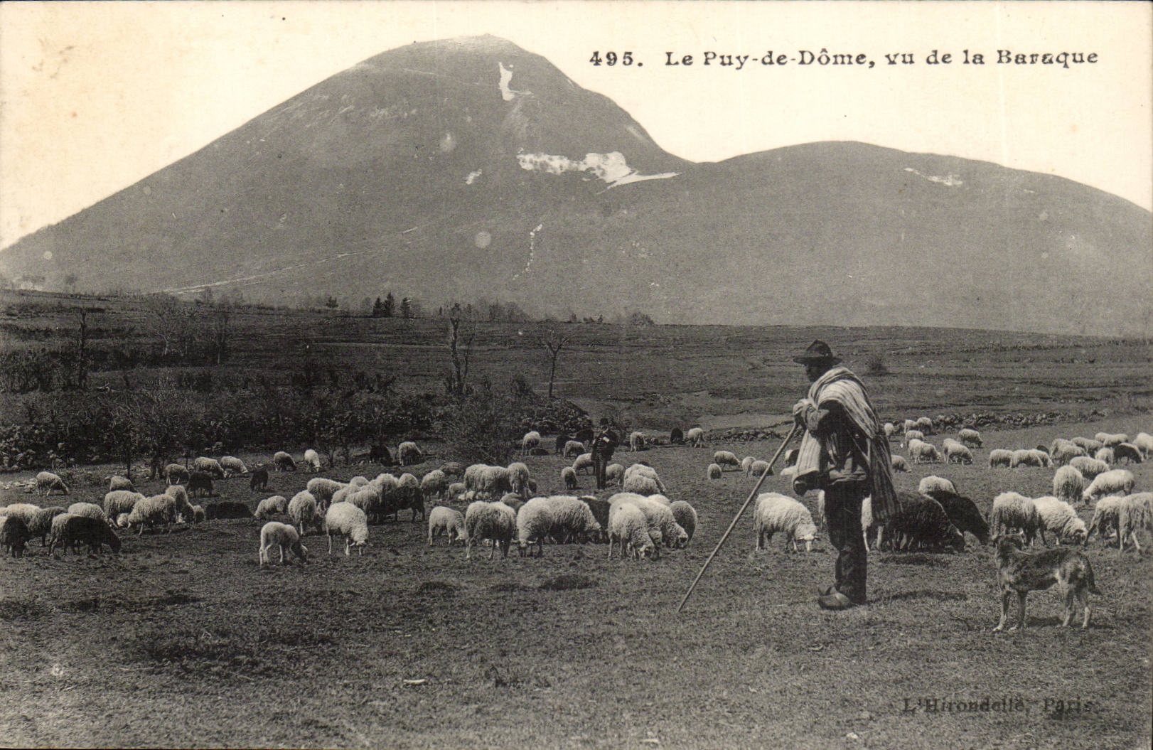 Puy de Dome- Seen of the Hut-sheep - CPA