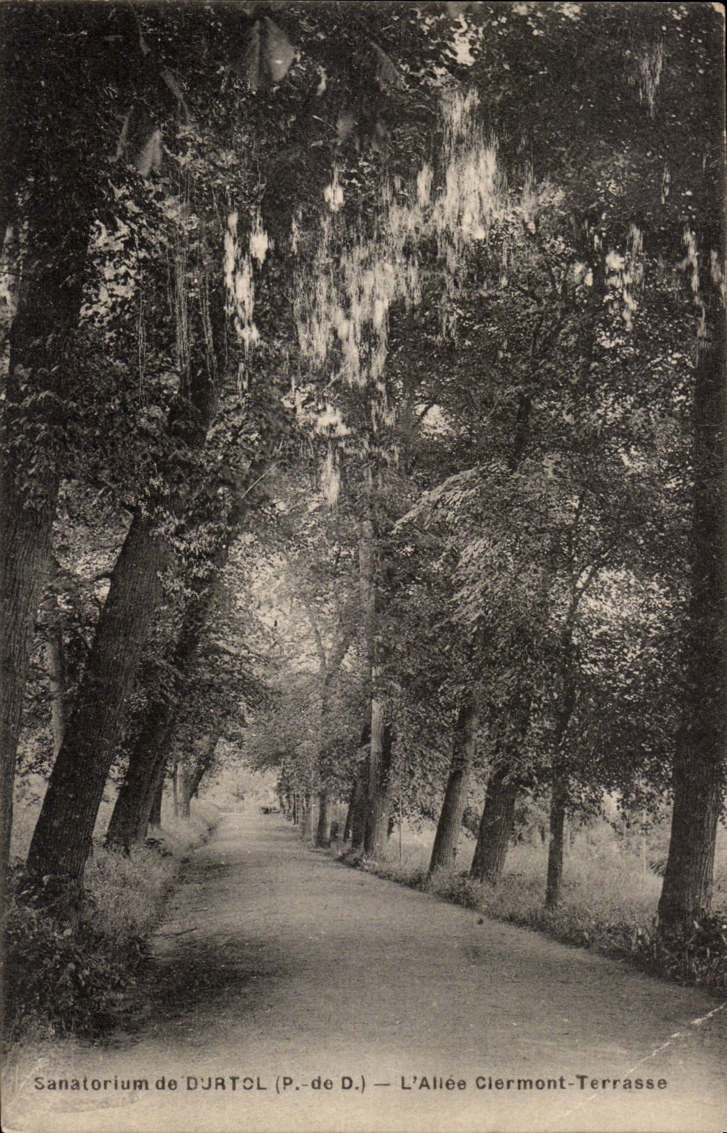 Puy de Dome - sanatorium of Durtol - Allee Clermont Terrace - CPA