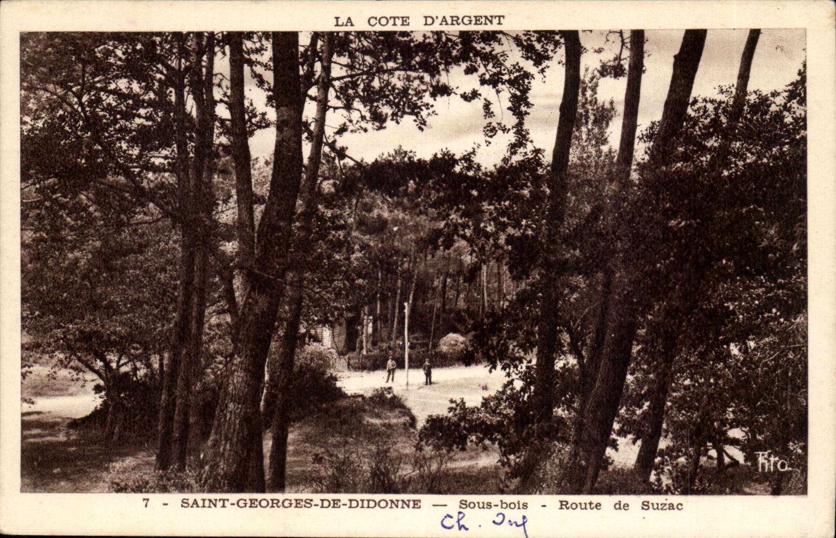 St Georges de Didonne CPA Under wood Road of Suzac